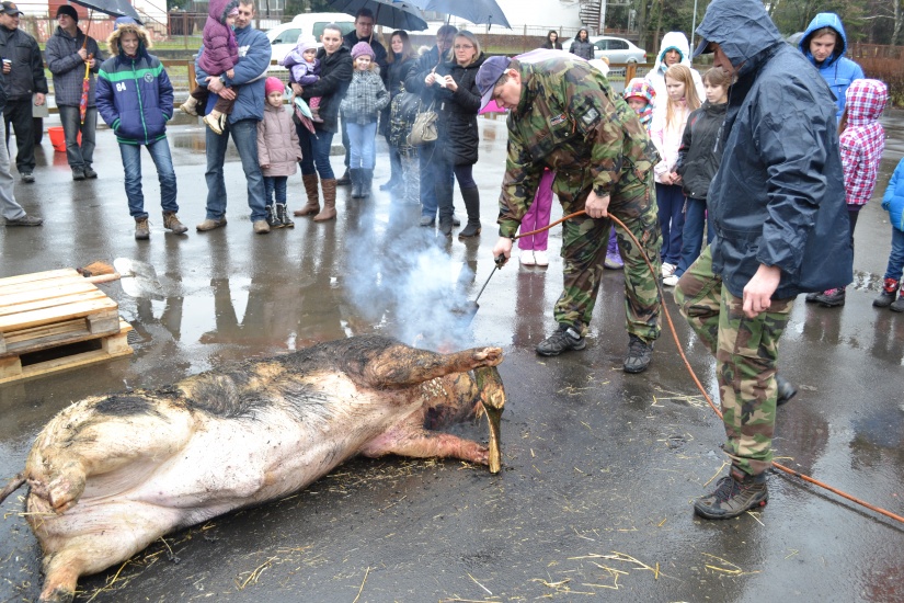 Fašiangová zábava