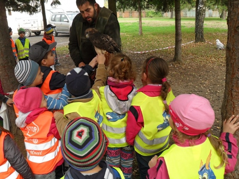 Hravo, zdravo 2014 5