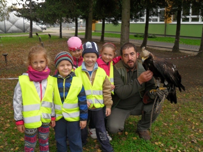 Hravo, zdravo 2014 6