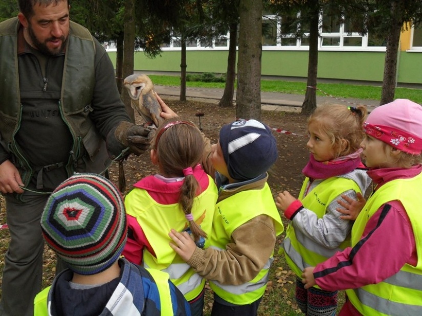 Hravo, zdravo 2014 7