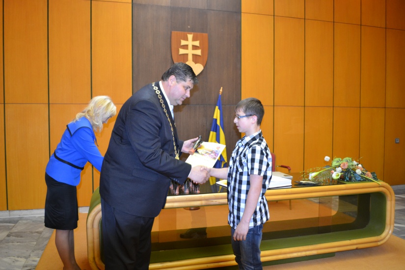 Reprezentant mesta 2013