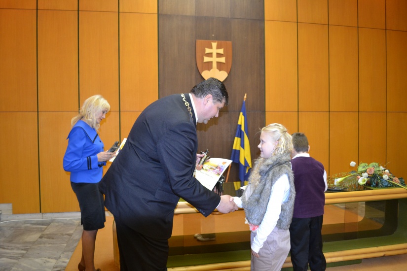 Reprezentant mesta 2013