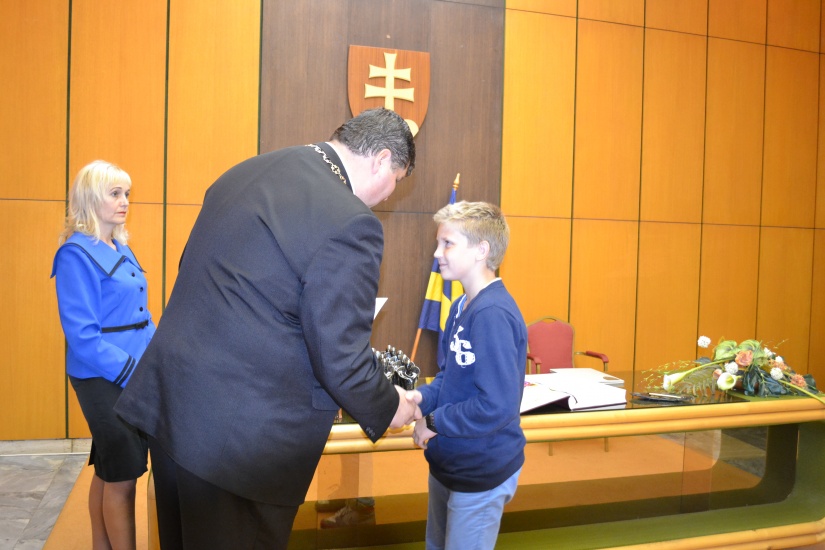 Reprezentant mesta 2013