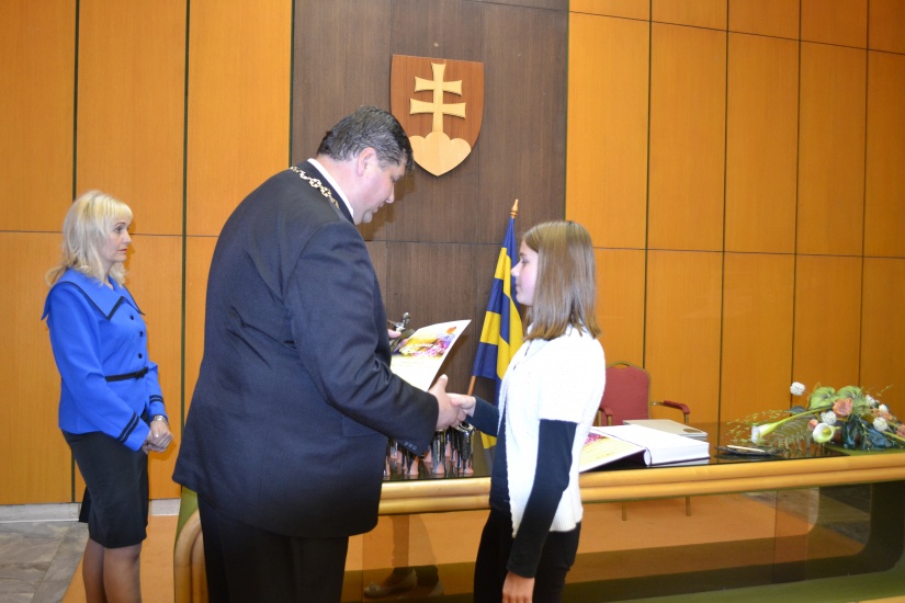 Reprezentant mesta 2013