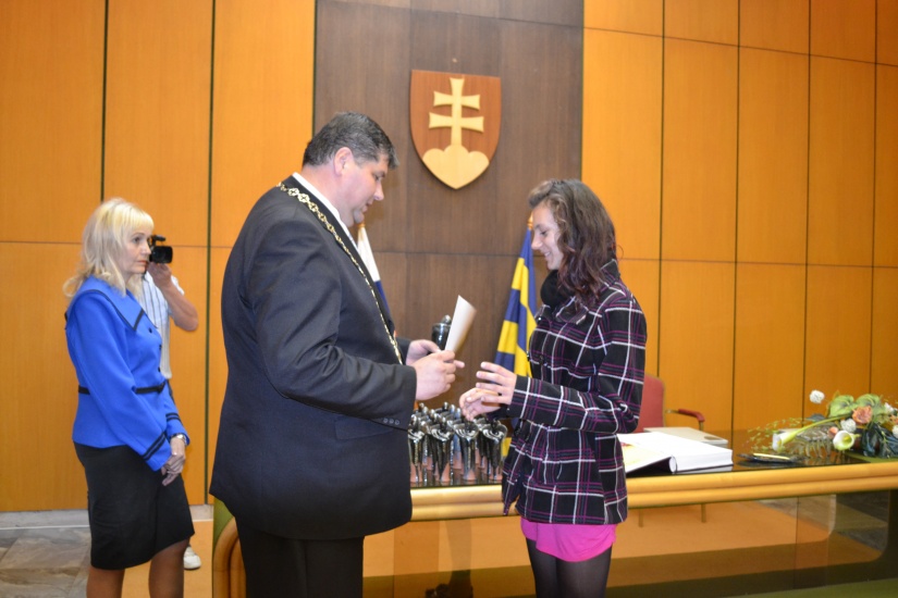 Reprezentant mesta 2013