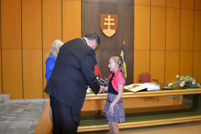 Reprezentant mesta 2013