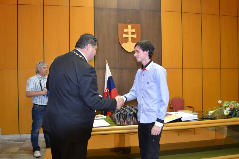 Reprezentant mesta 2013