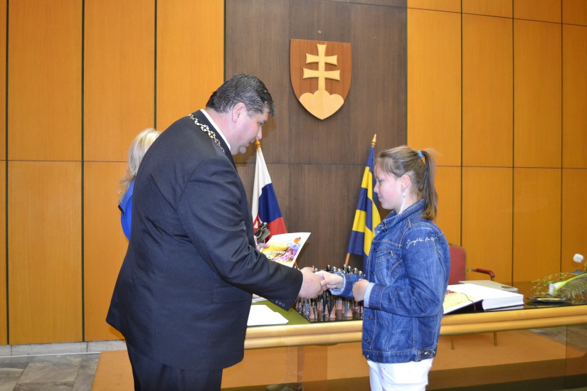 Reprezentant mesta 2013