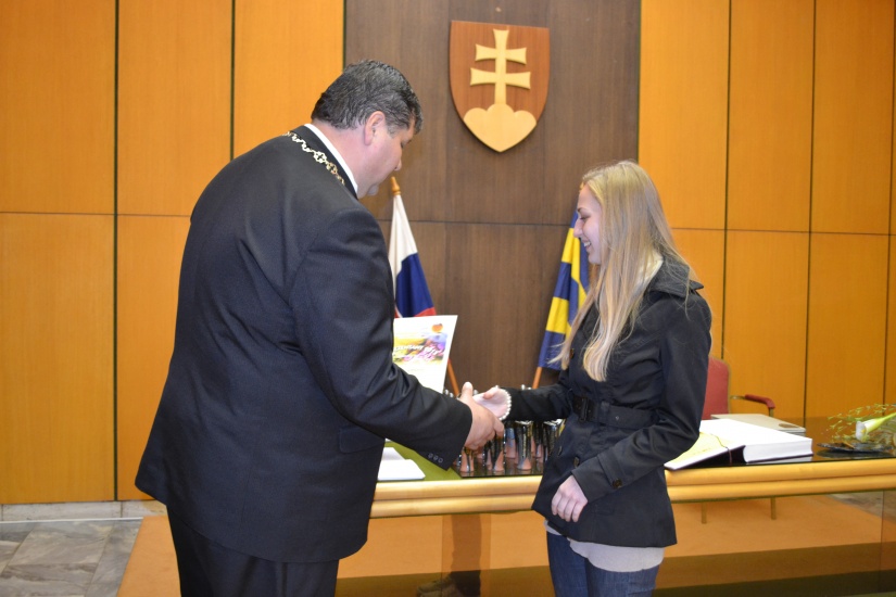 Reprezentant mesta 2013