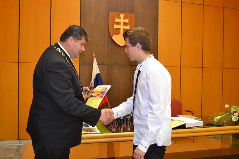 Reprezentant mesta 2013