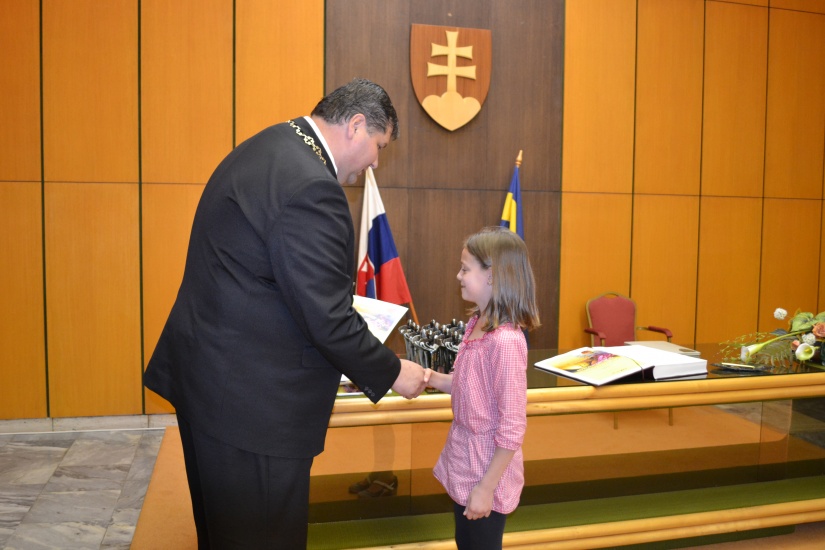 Reprezentant mesta 2013