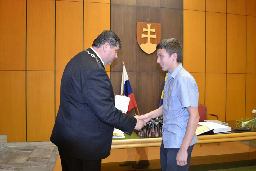 Reprezentant mesta 2013