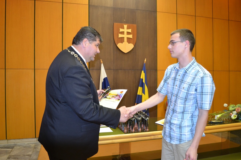 Reprezentant mesta 2013