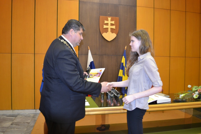 Reprezentant mesta 2013