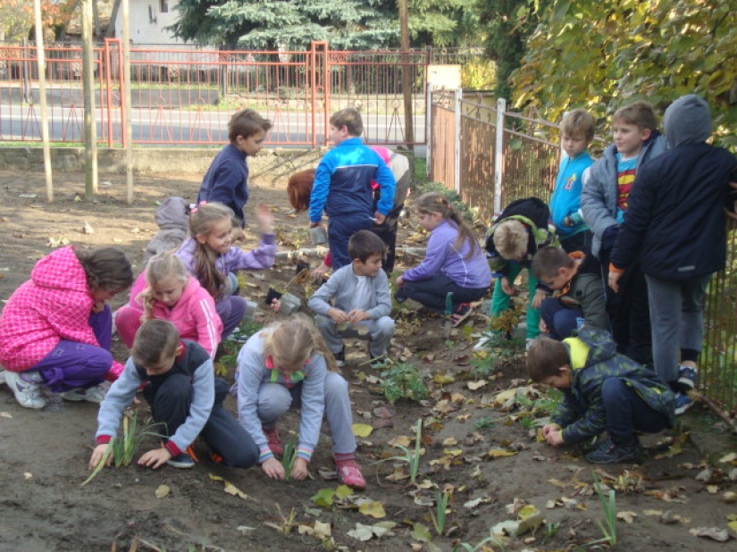 Dobrovoľné brigády