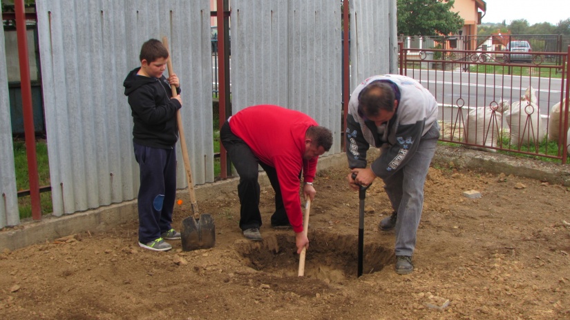 Dobrovoľné brigády