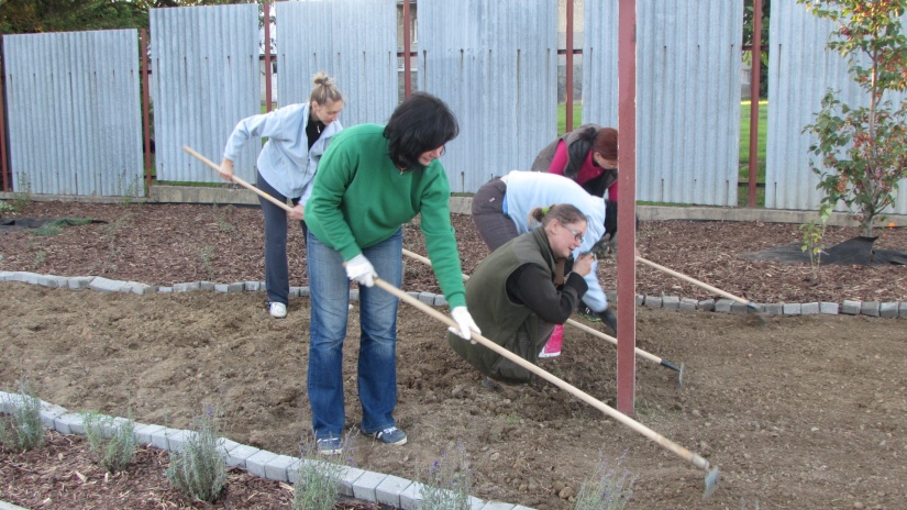 Dobrovoľné brigády