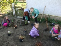 Dobrovoľné brigády