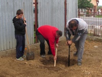 Dobrovoľné brigády