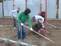 Dobrovoľné brigády