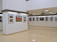 Galéria vo foyery DK