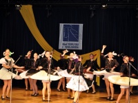 Medzinárodný festival umeleckých skupín pod názvom Nad Topľou i Wislokiem 3. a 4. decembra 2010