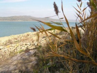 Tichá zákutia na Domaši